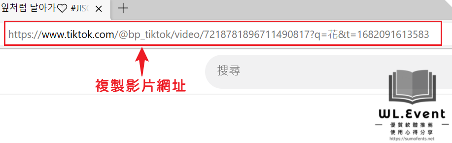 VideoHunter TikTok Downloader 軟體教學圖